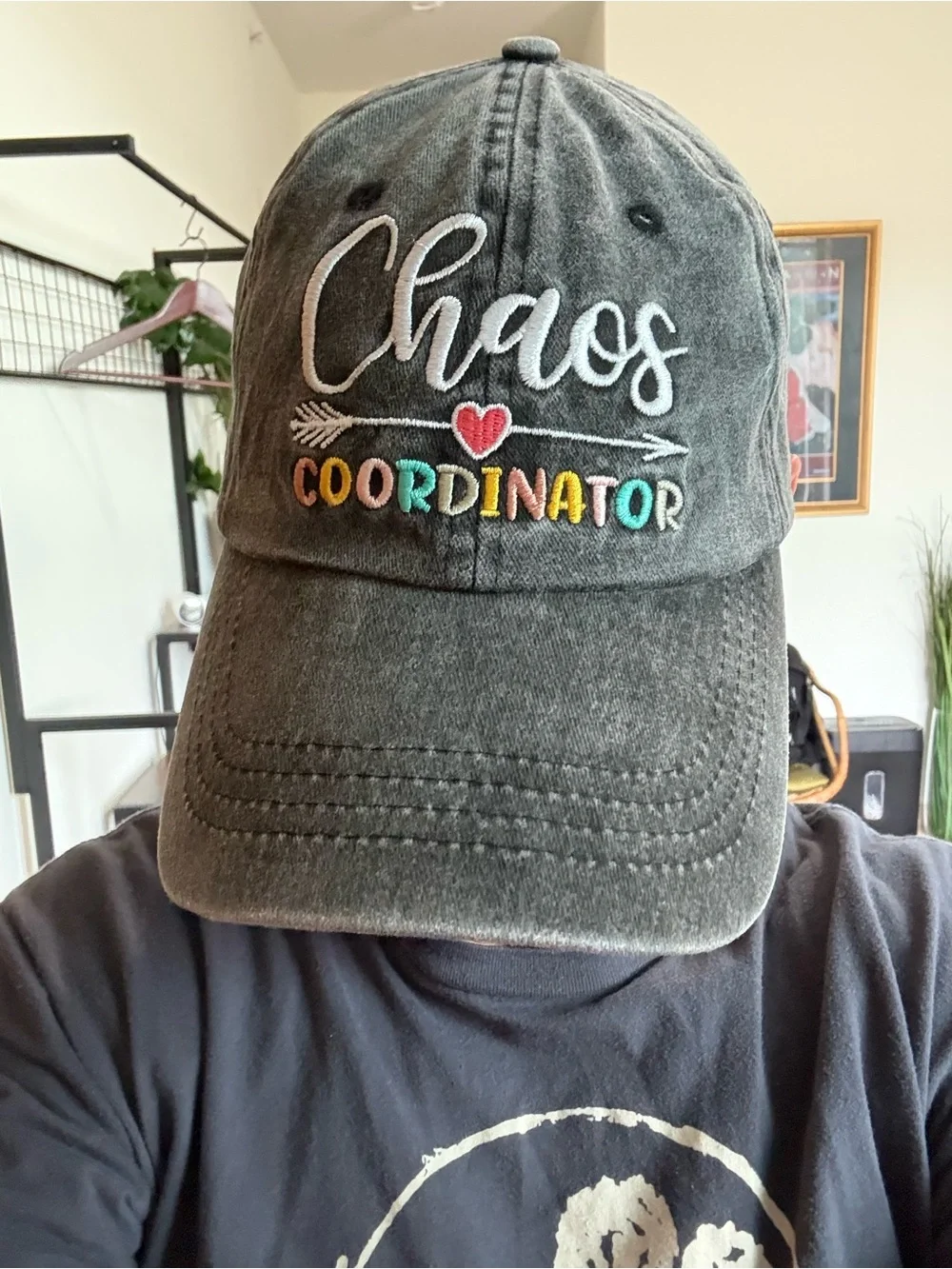 Chaos Coordinator Embroidered Cap - Gray
